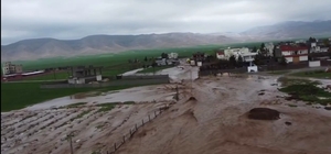 Nusaybin’de sağanak ve dolu: yollar göle döndü, evleri su bastı (2)