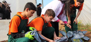 Çukurova’da geleceğin ziraatçileri tarım lisesinde yetişiyor