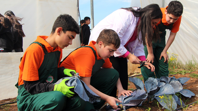 Çukurova'da geleceğin ziraatçileri tarım lisesinde yetişiyor