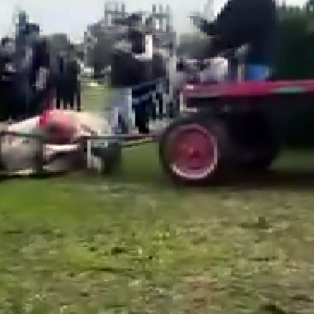 Atlara koşmadığı için şiddet uygulayan şüphelilere hayvan barınağında çalış...