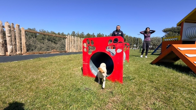 Duacı Mahallesi'nde Pati Park hizmet açıldı
