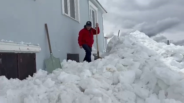 Gümüşhane'de akılalmaz olay: Ayılar bu kez kapıdan değil pencereden girdi
Kar boyu ayılara yol oldu, ikinci kattan içeri girdiler