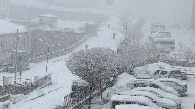 Yüksekova'da kar yağışı etkili oldu