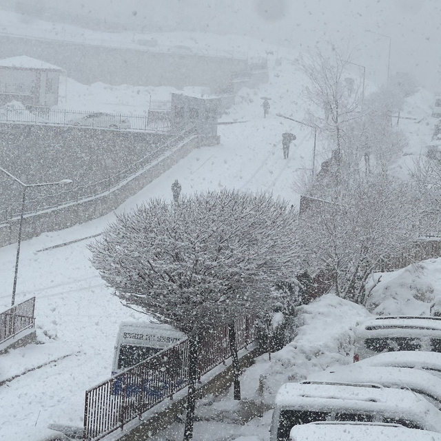 Yüksekova'da kar yağışı etkili oldu