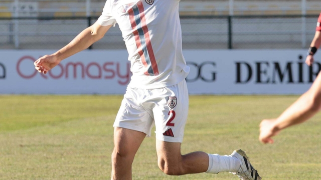 Altınordu'da Birhan kesik yedi