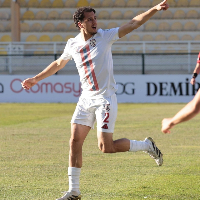 Altınordu'da Birhan kesik yedi