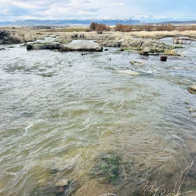 Kayseri'nin bir ilçesinde baharın habercisi dere suları akmaya başladı