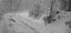 Kazdağları Milli Parkı'nda kar etkili oldu