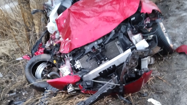 Erzurum'da ağaca çarpan otomobildeki 2 kişi öldü