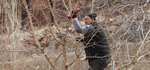 Erzurum'da köylerde bahçe bakım çalışmaları başladı