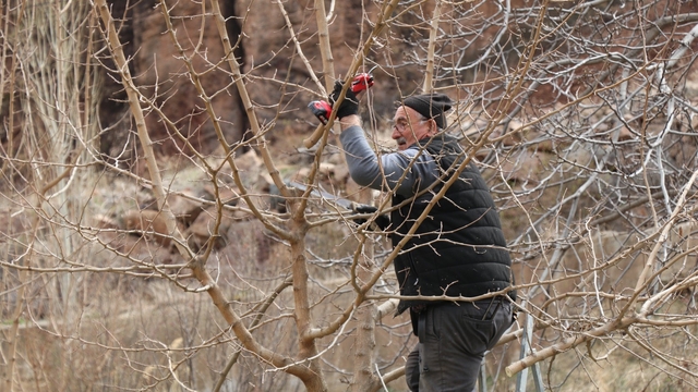 Erzurum'da köylerde bahçe bakım çalışmaları başladı