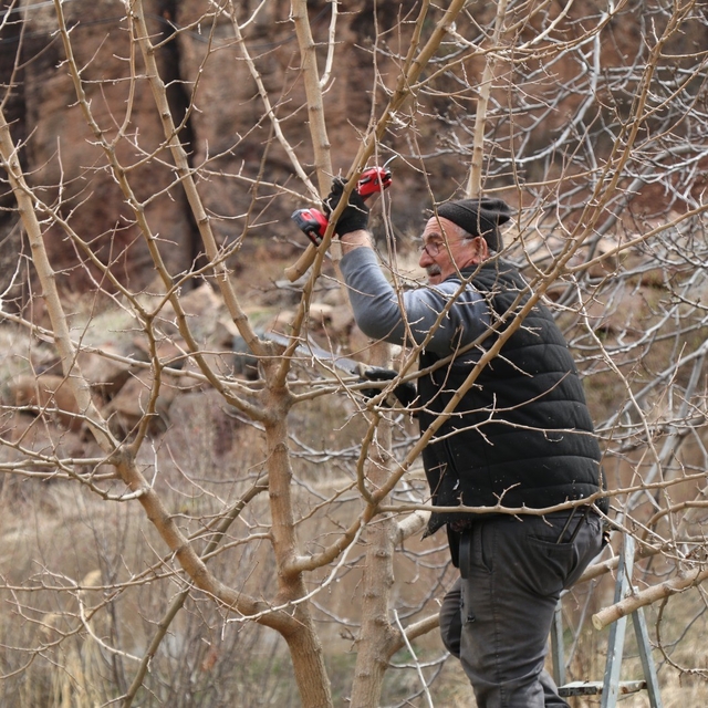 Erzurum'da köylerde bahçe bakım çalışmaları başladı