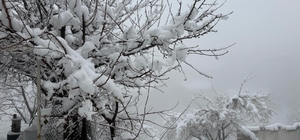 Hakkari’de 82 yerleşim yerinin yolu kapandı