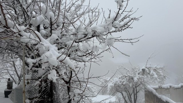 Hakkari'de 82 yerleşim yerinin yolu kapandı