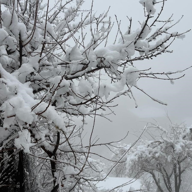 Hakkari'de 82 yerleşim yerinin yolu kapandı