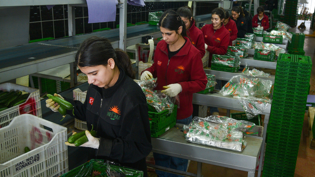 Türkiye'nin sebze tüketiminin yarısını karşılayan Antalya Hali'nden 64 ülkeye ihracat