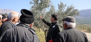 Bilecik'te üreticilere uygulamalı eğitim