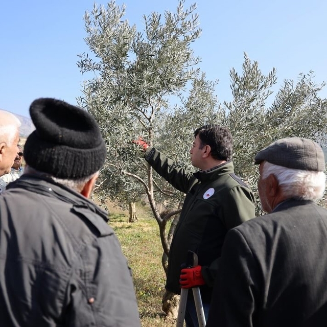 Bilecik'te üreticilere uygulamalı eğitim
