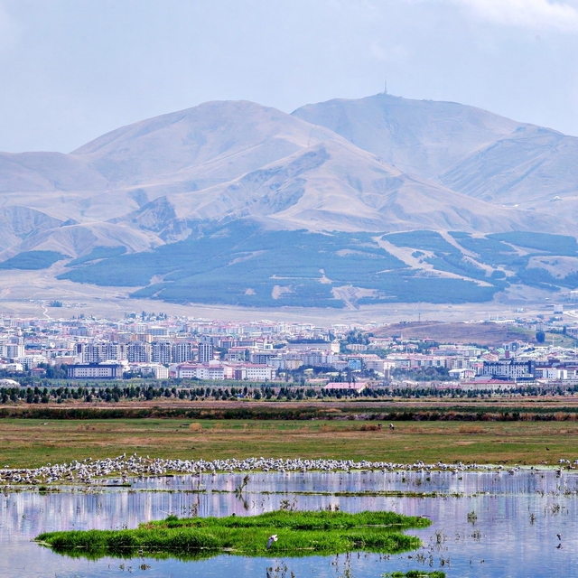 Erzurum ve Bakü petrol hattında 1921'de kritik duraklama
