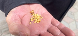 Ata tohumlarla tarımın hafızasını yaşatıyor