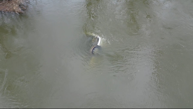 Edirne'de taşkında nehre düşen otomobil 1 ay sonra bulundu