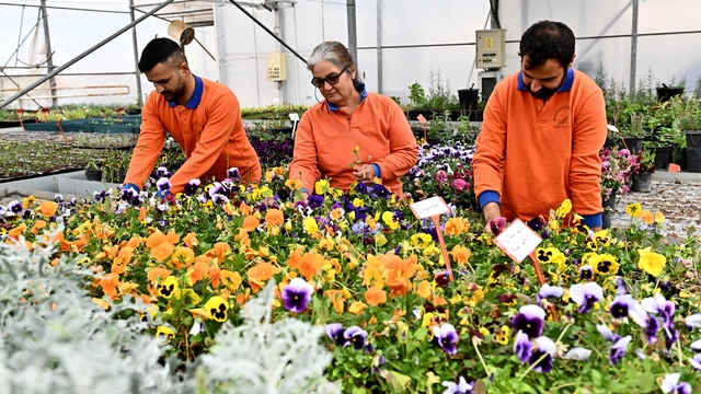 Muratpaşa'dan örnek bitki üretim modeli