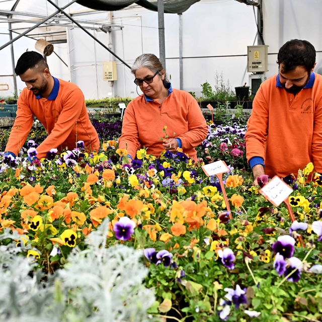 Muratpaşa'dan örnek bitki üretim modeli