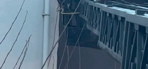 Takıldığı ipte asılı kalan güvercin kurtarıldı