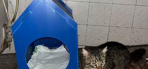 El emeğiyle yaptı, sokak kedilerine yuva oldu