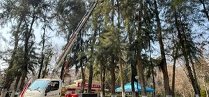 Efeler'de Pınarbaşı Mesire Alanı bakıma alındı