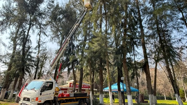 Efeler'de Pınarbaşı Mesire Alanı bakıma alındı