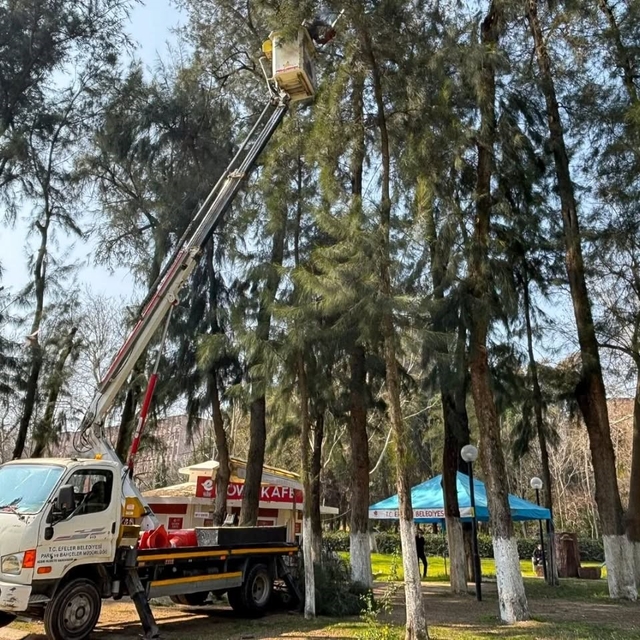 Efeler'de Pınarbaşı Mesire Alanı bakıma alındı