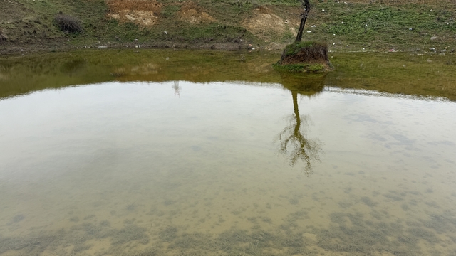 Tekirdağ'da kuruyan Çakıl Gölet'i yağışlarla yeniden doluyor