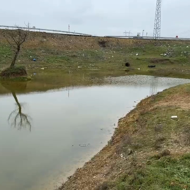 Kuruyan gölet yeniden canlandı: Çatlayan topraklar suyla buluştu