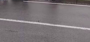 Diyarbakır’da trafik kazası: Araç refüje çarparak durabildi