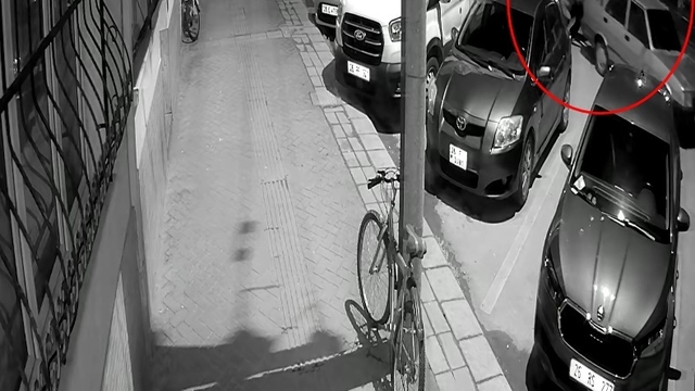 Park halindeki otomobili iterek çaldılar