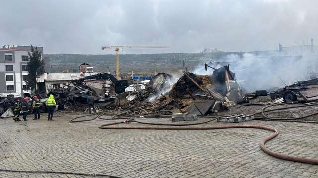 Ahır yangınında çok sayıda hayvan öldü