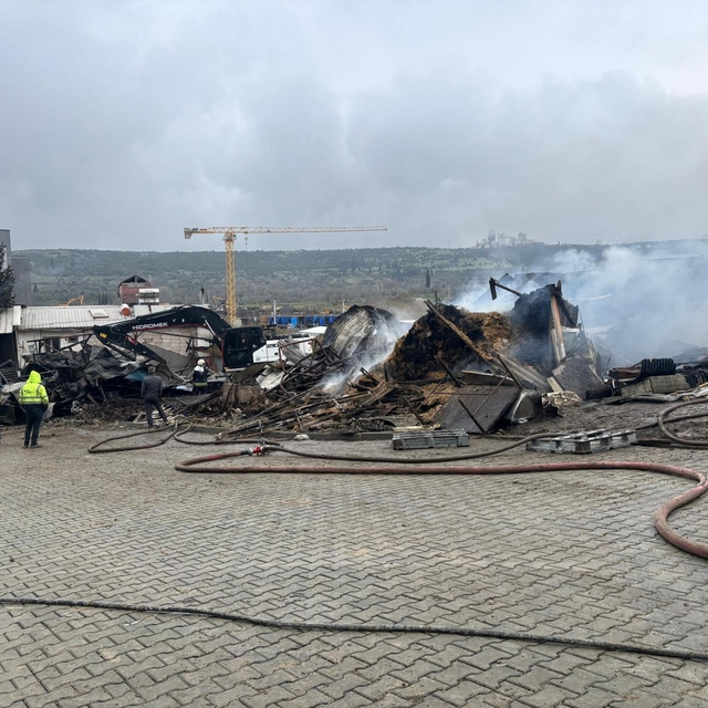 Ahır yangınında çok sayıda hayvan öldü