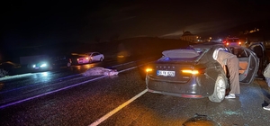 Bingöl'de otomobil ata çarptı: 4 yaralı