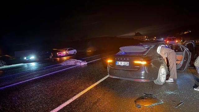 Bingöl'de otomobil ata çarptı: 4 yaralı