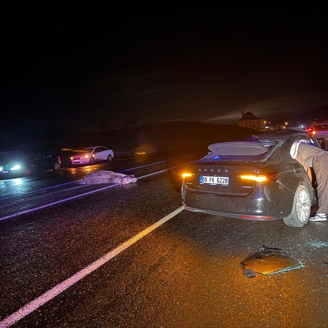 Bingöl'de otomobil ata çarptı: 4 yaralı