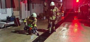 Mazgalda mahsur kalan kedi ve yavruları kurtarıldı