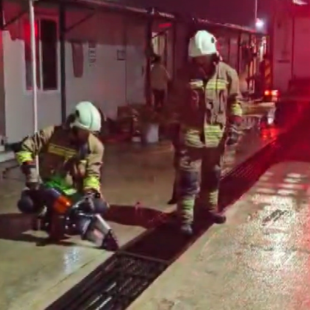 Mazgalda mahsur kalan kedi ve yavruları kurtarıldı