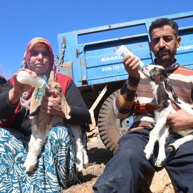 Akaryakıt karıştığı iddia edilen yağmur suyu birikintisinden içerek telef o...