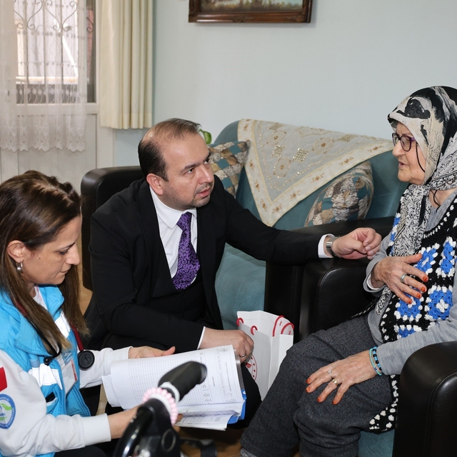 Aydın'da yaşlı çınarlar unutulmadı