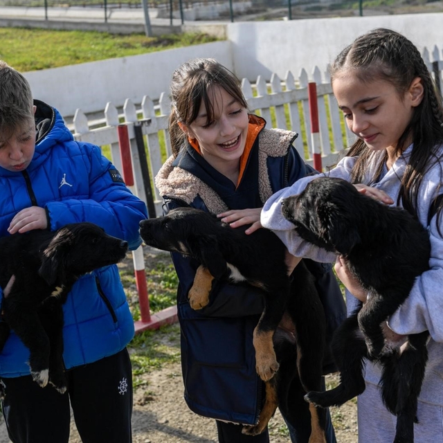 İzmir'de 2 bin 300 patili yuva bekliyor