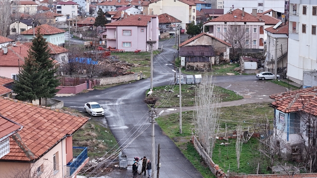 Mahallenin maskotu oldular, baharla birlikte yuvalarına döndüler