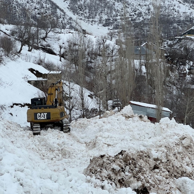Yüksekova'da köye düşen çığ korkuya neden oldu