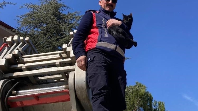 Ağaçta kalan kediyi itfaiye kurtardı