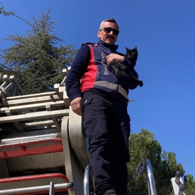 Ağaçta kalan kediyi itfaiye kurtardı
